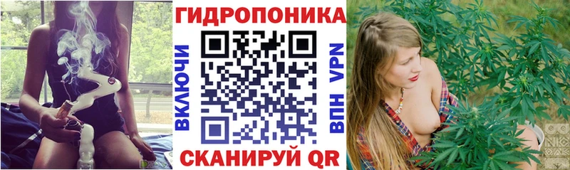Где купить наркотики Жуковка APVP  Бошки Шишки  Кокаин  МЕФ  ОМГ ОМГ ONION  ГАШИШ  АМФЕТАМИН 