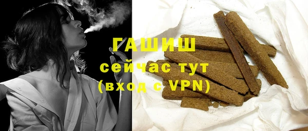 прущие грибы Гусиноозёрск