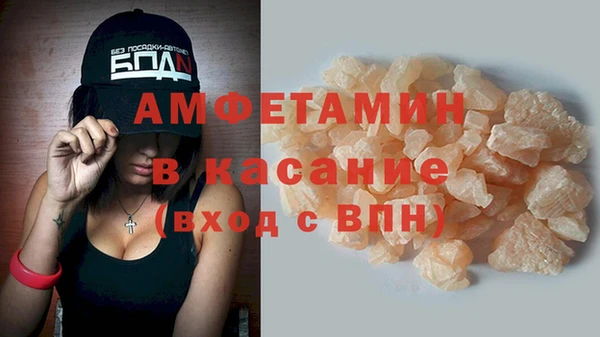 прущие грибы Гусиноозёрск