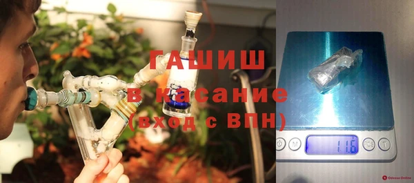 прущие грибы Гусиноозёрск