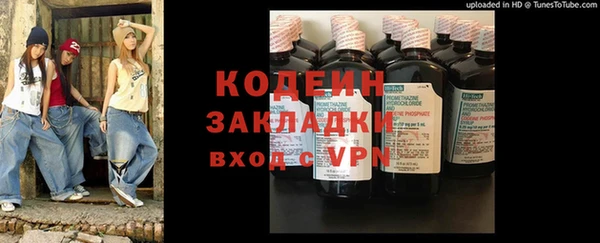 прущие грибы Гусиноозёрск