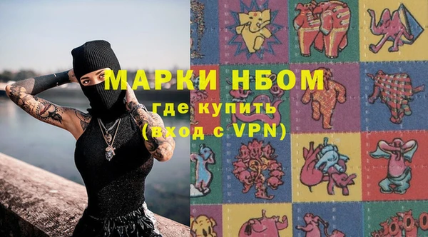 прущие грибы Гусиноозёрск