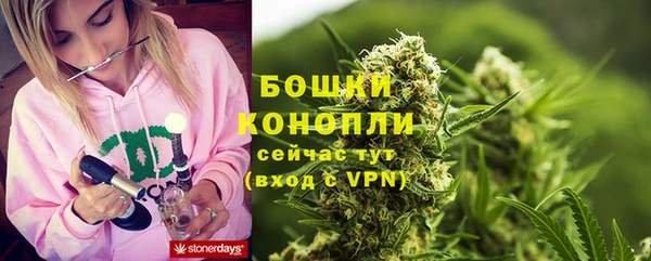 скорость Гусев
