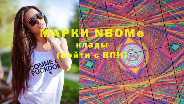 кристаллы Гусь-Хрустальный
