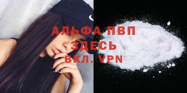 прущие грибы Гусиноозёрск