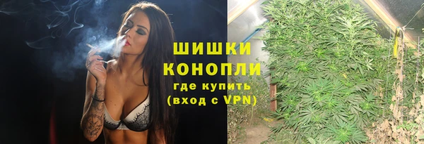 прущие грибы Гусиноозёрск