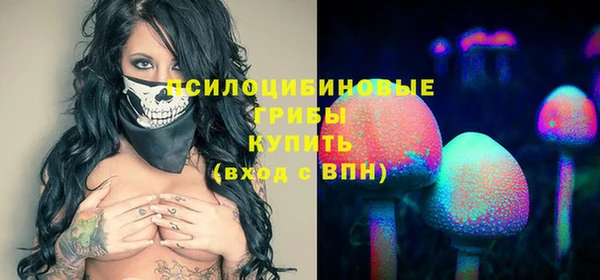 кристаллы Гусь-Хрустальный