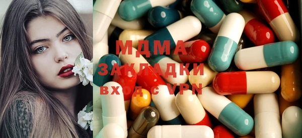 прущие грибы Гусиноозёрск