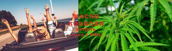 скорость Гусев