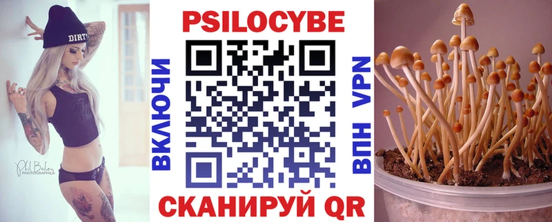 купить  цена  Жуковка  Галлюциногенные грибы прущие грибы 